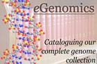 egenomics logo